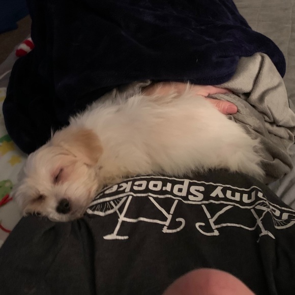 🙏❤️FINALLY a Healthy LITTLE boy! Thanks All!❤️🙏 - Picture 5 of 16